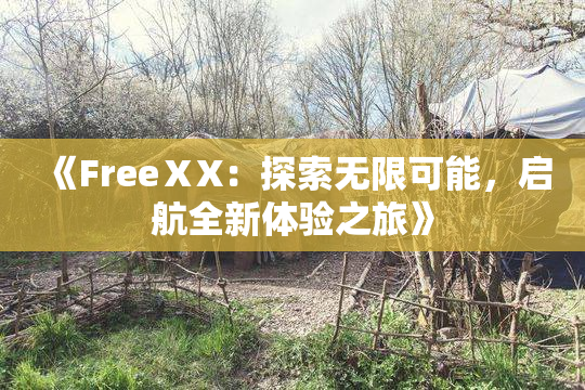 《FreeⅩX：探索无限可能，启航全新体验之旅》