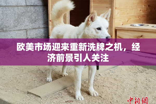 欧美市场迎来重新洗牌之机，经济前景引人关注
