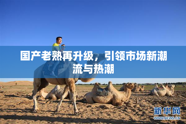 国产老熟再升级，引领市场新潮流与热潮