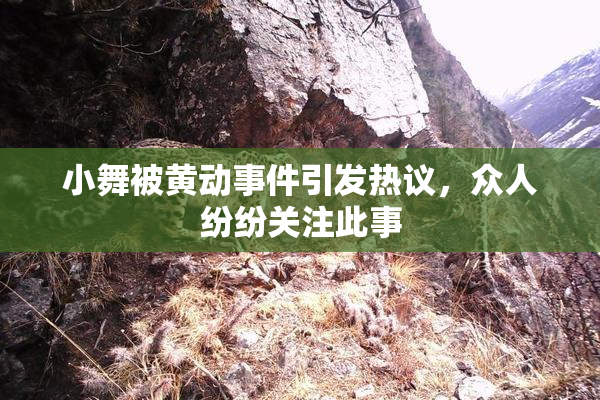 小舞被黄动事件引发热议，众人纷纷关注此事