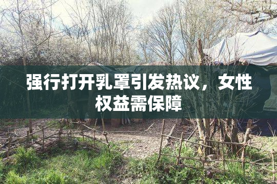 强行打开乳罩引发热议，女性权益需保障
