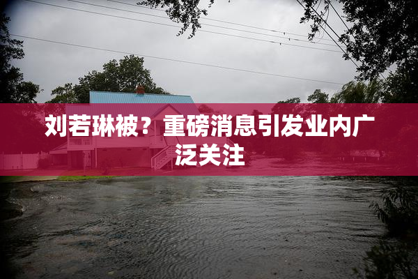 刘若琳被？重磅消息引发业内广泛关注