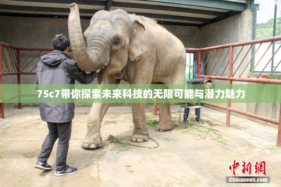 75c7带你探索未来科技的无限可能与潜力魅力