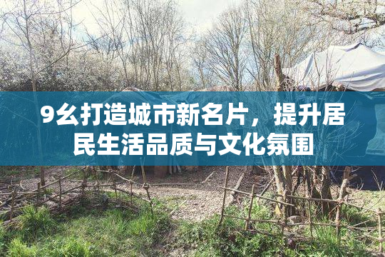 9幺打造城市新名片，提升居民生活品质与文化氛围