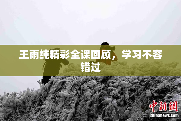王雨纯精彩全课回顾，学习不容错过