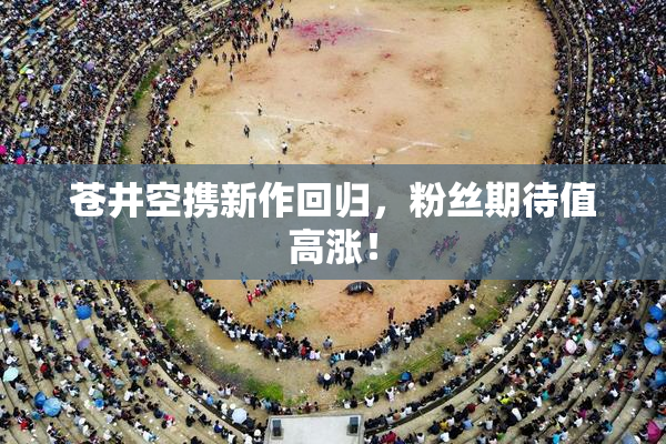 苍井空携新作回归，粉丝期待值高涨！