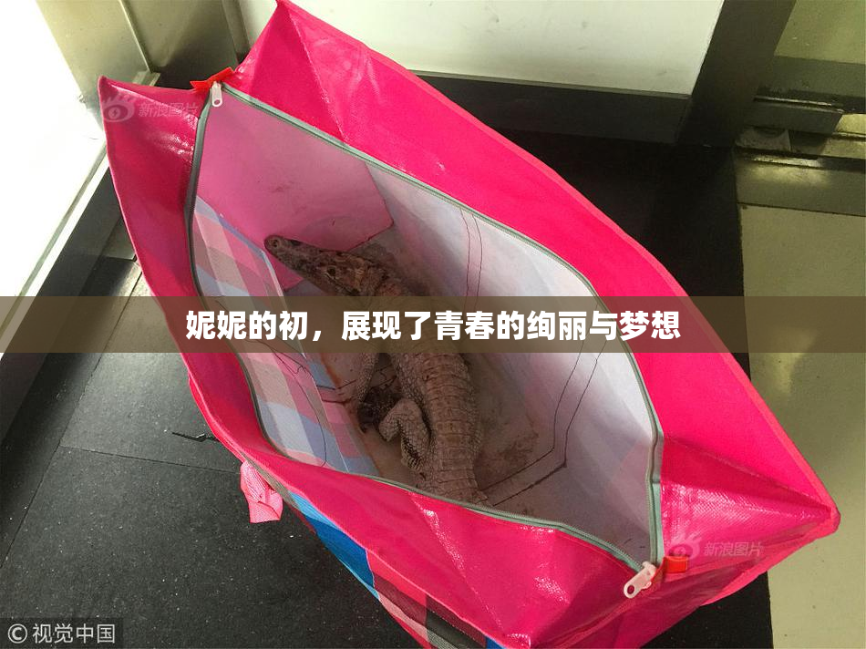 妮妮的初，展现了青春的绚丽与梦想
