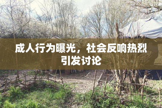 成人行为曝光，社会反响热烈引发讨论