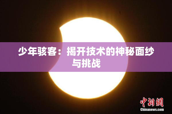 少年骇客：揭开技术的神秘面纱与挑战