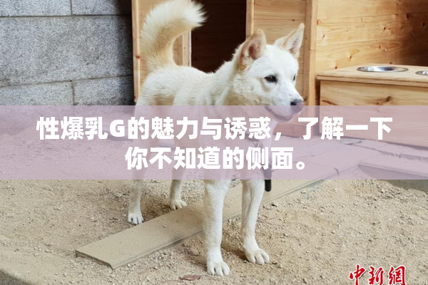 性爆乳G的魅力与诱惑，了解一下你不知道的侧面。