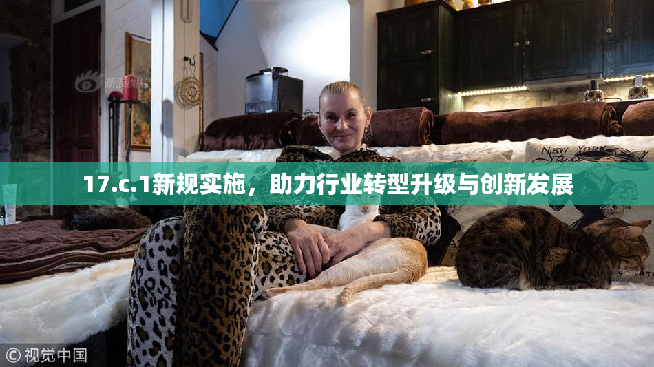 17.c.1新规实施，助力行业转型升级与创新发展