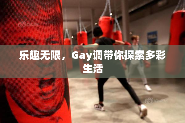 乐趣无限，Gay调带你探索多彩生活