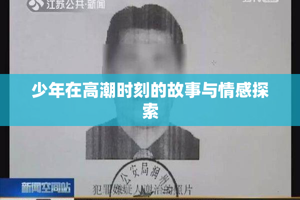 少年在高潮时刻的故事与情感探索