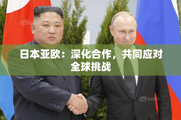 日本亚欧：深化合作，共同应对全球挑战