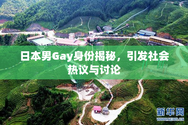 日本男Gay身份揭秘，引发社会热议与讨论