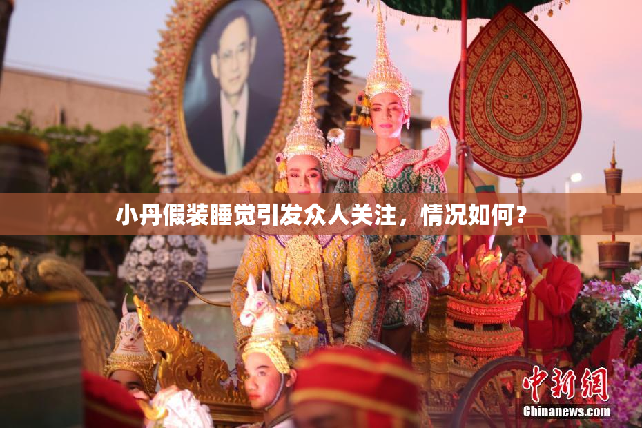 小丹假装睡觉引发众人关注，情况如何？