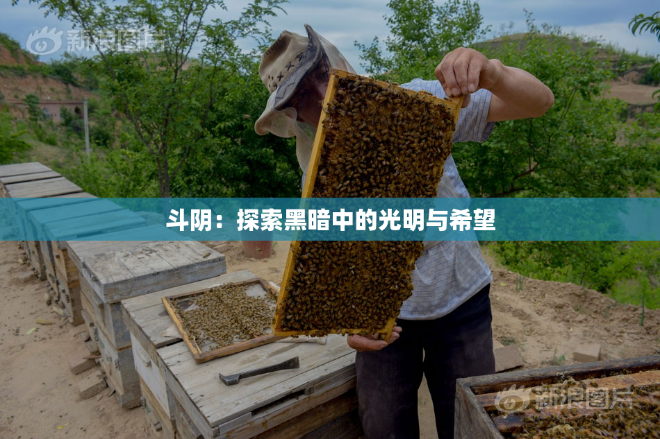 斗阴：探索黑暗中的光明与希望