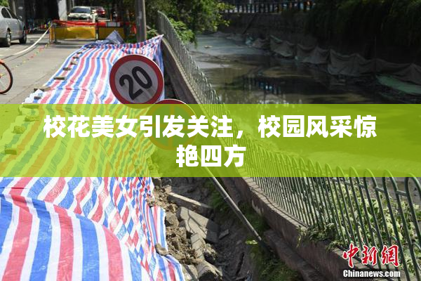 校花美女引发关注，校园风采惊艳四方