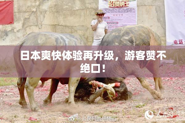日本爽快体验再升级，游客赞不绝口！