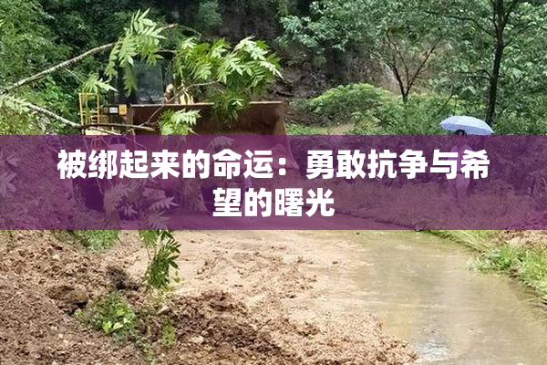 被绑起来的命运：勇敢抗争与希望的曙光