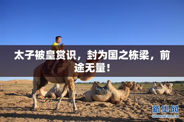 太子被皇赏识，封为国之栋梁，前途无量！