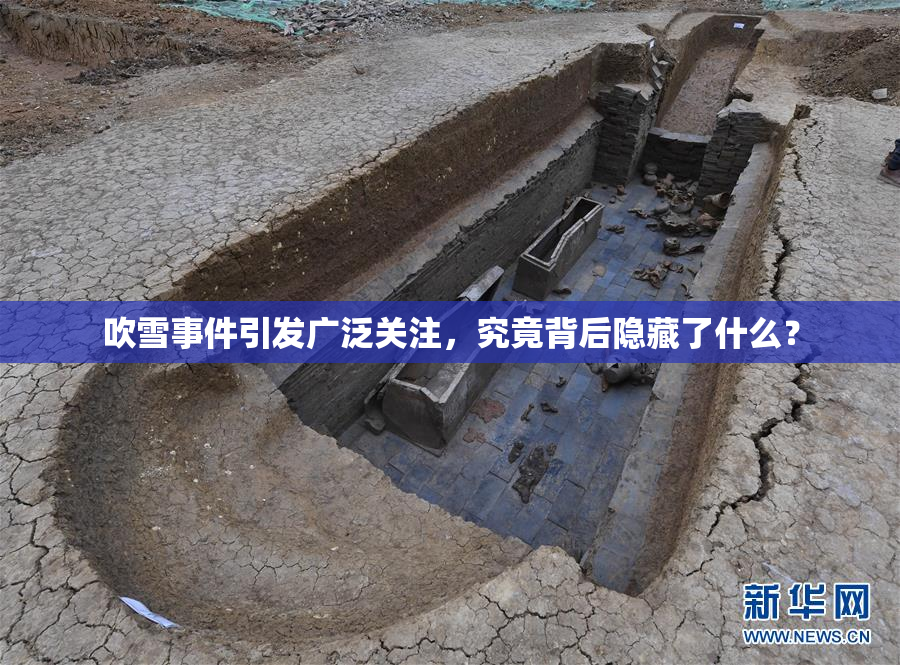 吹雪事件引发广泛关注，究竟背后隐藏了什么？