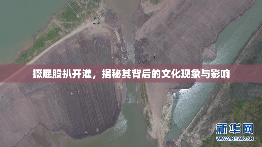 撅屁股扒开灌，揭秘其背后的文化现象与影响