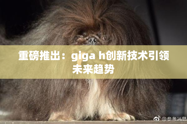 重磅推出：giga h创新技术引领未来趋势