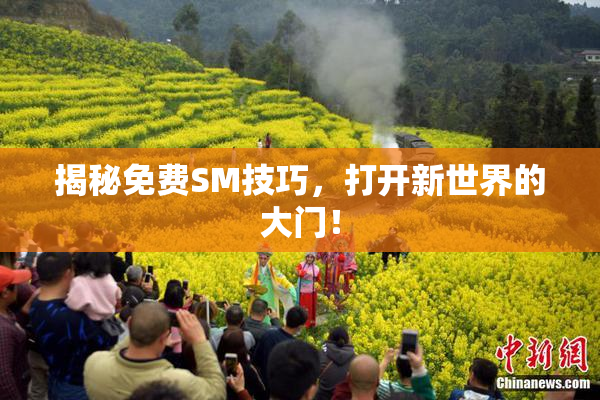 揭秘免费SM技巧，打开新世界的大门！