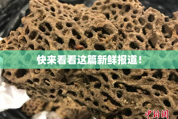 快来看看这篇新鲜报道！