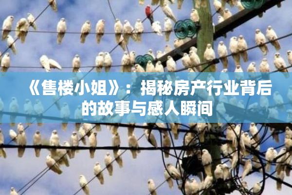 《售楼小姐》：揭秘房产行业背后的故事与感人瞬间