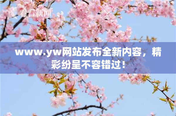www.yw网站发布全新内容，精彩纷呈不容错过！