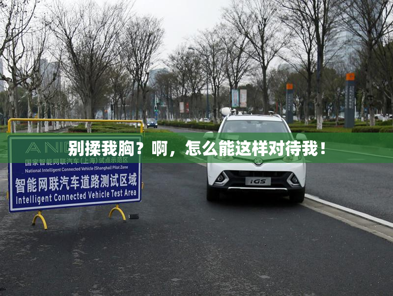 别揉我胸？啊，怎么能这样对待我！