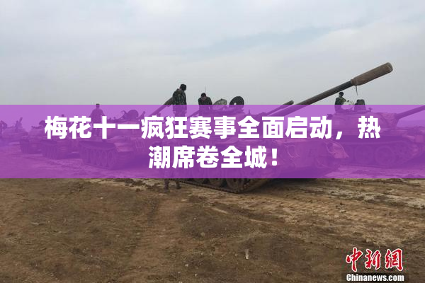 梅花十一疯狂赛事全面启动，热潮席卷全城！