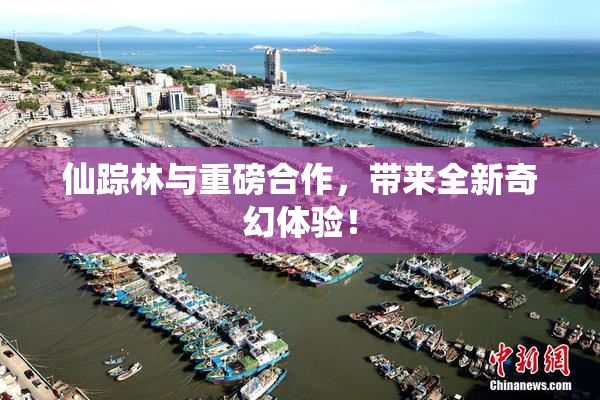仙踪林与重磅合作，带来全新奇幻体验！