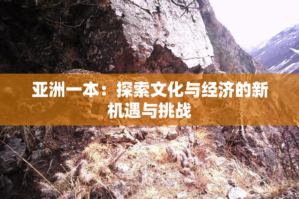 亚洲一本：探索文化与经济的新机遇与挑战
