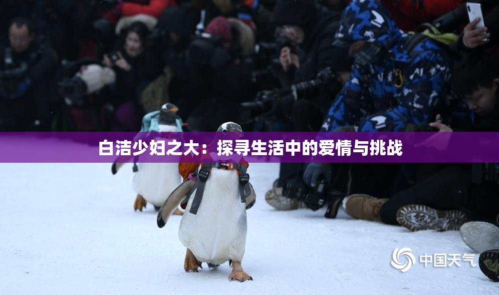 白洁少妇之大：探寻生活中的爱情与挑战