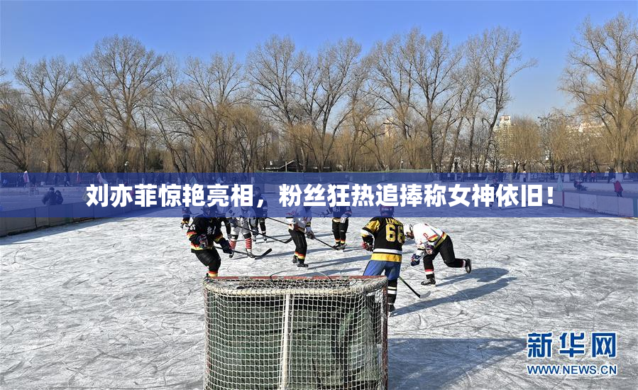 刘亦菲惊艳亮相，粉丝狂热追捧称女神依旧！