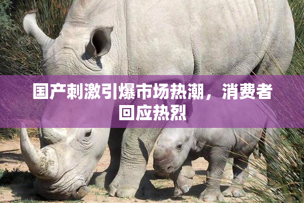 国产刺激引爆市场热潮，消费者回应热烈