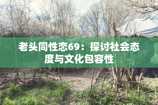 老头同性恋69：探讨社会态度与文化包容性