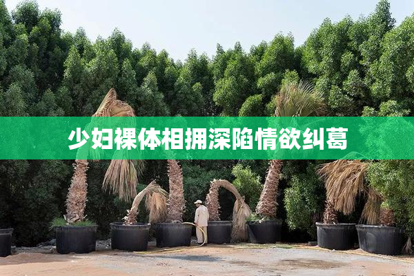 少妇裸体相拥深陷情欲纠葛