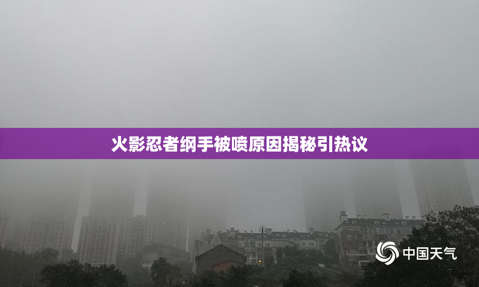 火影忍者纲手被喷原因揭秘引热议