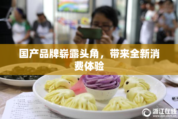 国产品牌崭露头角，带来全新消费体验
