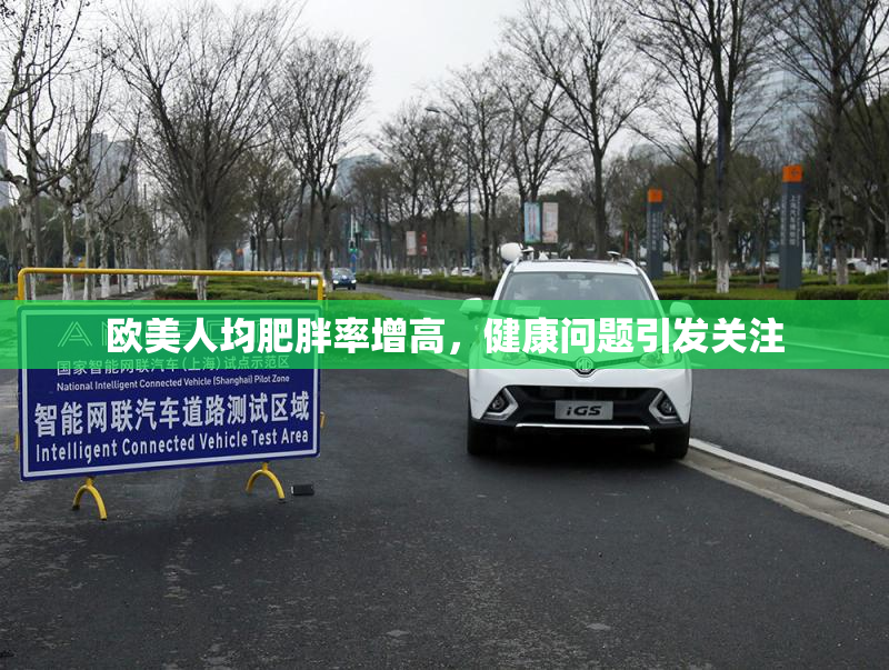 欧美人均肥胖率增高，健康问题引发关注