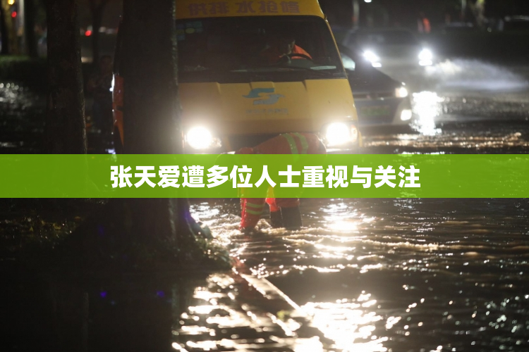 张天爱遭多位人士重视与关注
