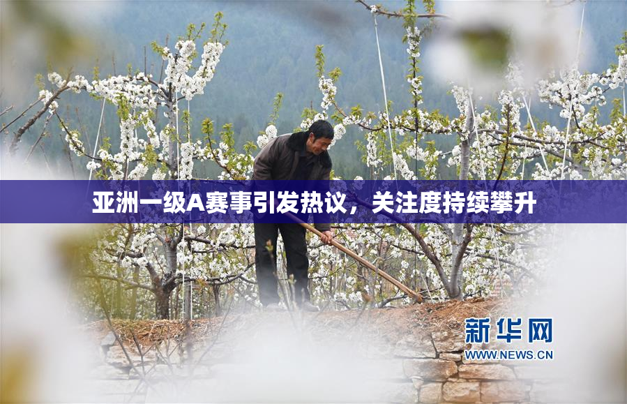 亚洲一级A赛事引发热议，关注度持续攀升
