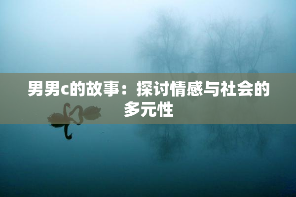 男男c的故事：探讨情感与社会的多元性