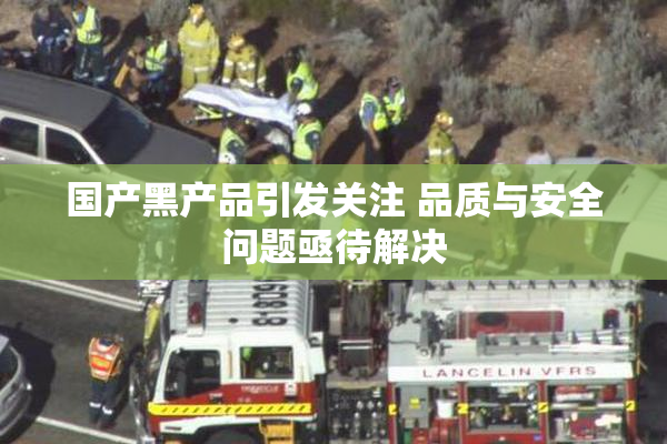 国产黑产品引发关注 品质与安全问题亟待解决