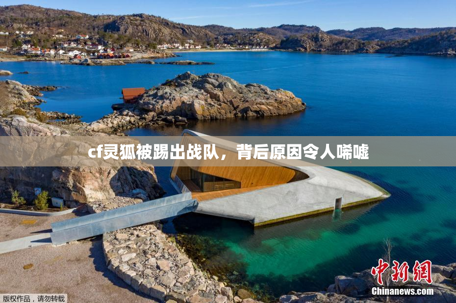 cf灵狐被踢出战队，背后原因令人唏嘘