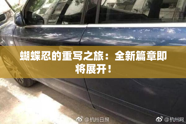 蝴蝶忍的重写之旅：全新篇章即将展开！